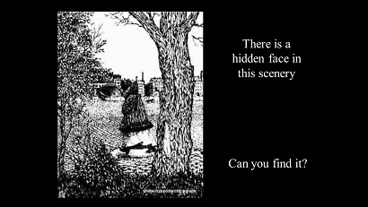poto hidden face